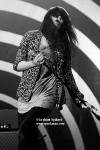 The Kills